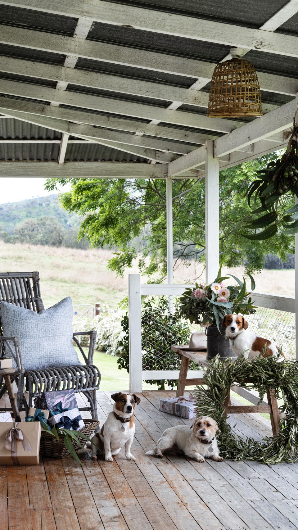 Puppy wrangling, wallaroo bottle feeding, gift wrapping. It’s always a joy to create the Country Style Christmas cover, and this year we were lucky enough to be welcomed to 1680-hectare cattle property, Belford Park in Scone, NSW, to do so. 

Enjoy this glimpse behind the scenes, and be sure to get your hands on a copy of our Christmas issue, on sale now, to read the full story - and other festive tales!

#countrystylemagazine #christmasshoot #australianchristmas #cattle #wallaroo