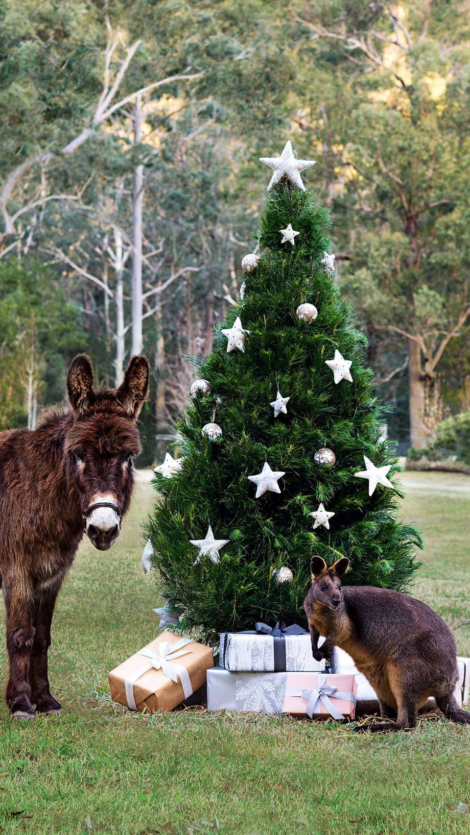 There’s a reason Country Style magazine is famous for its adorable Christmas covers. Journey back 12 years with us through some of the most gorgeous festive cover shoots we’ve created - featuring some adorable animal stars.

#australianchristmas #christmastree #christmasphotoshoot #christmasstyling #australianwildlife