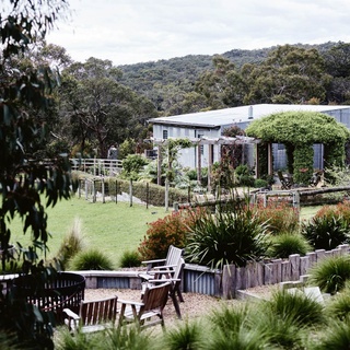 Sitting upon four hectares of lush farmland, Haven Red Hill is a dream realised for owners Kerry Watson and her husband David Mumby.⁠
⁠
Reaping the benefits of a sustainable life, the couple feel they've struck the best of both worlds, living off the land by growing their own produce, baking sourdough from scratch and making jam.⁠
⁠
Explore this stunning property via the link in bio.⁠
⁠
Photography: @markroperphotography⁠
Styling: @lee_blaylock⁠
Words: @ginimhoff⁠
⁠
#firepit #countryshed #countryliving #corrugatedshed
