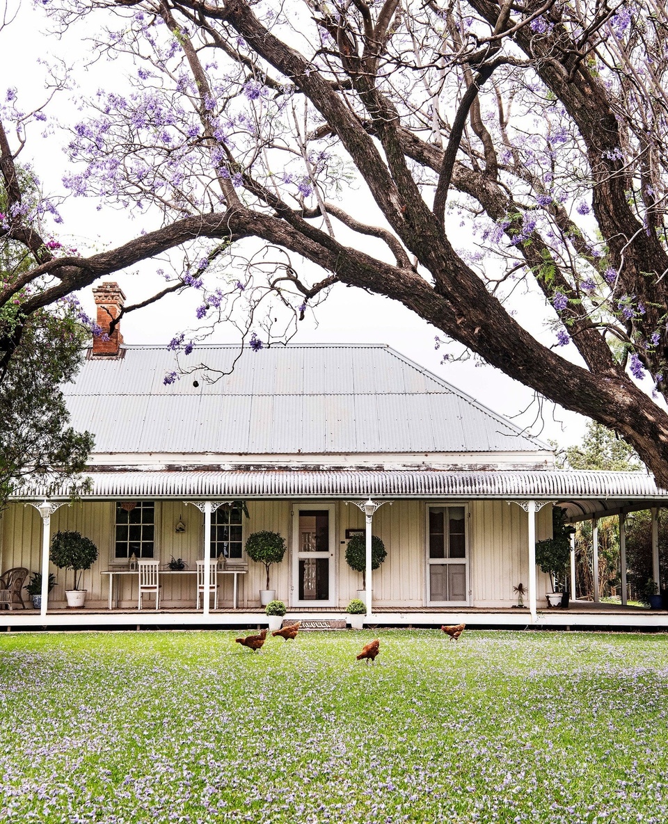 Although there are plenty of picturesque and perfect new farmhouses around, there's something special about one that has been restored.⁠
⁠
Bringing farmhouses that are brimming with memories and history up to date can present an emotional and difficult task, and requires a balance between the old and the new to be struck. We've rounded up 17 of the most beautiful farmhouses that have achieved this perfectly.⁠
⁠
Read more via the link in bio.⁠
⁠
Photography: @brigidarnottphotography // @lisacohenphoto⁠
Words: @tahnimesann⁠
⁠
#farmhouses #historichome #renovation #restoration #jacarandatree