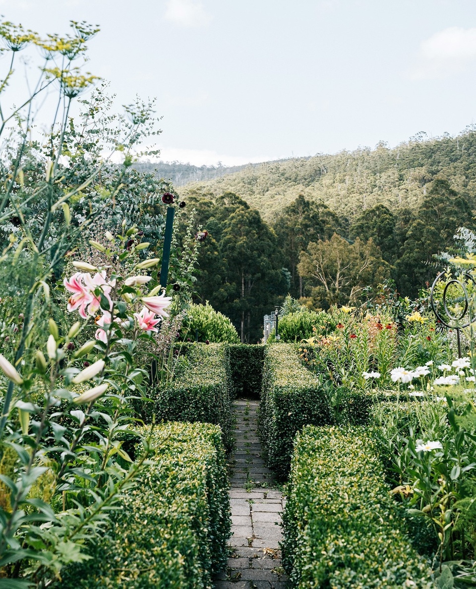 Inspired by the work of English garden designer and television presenter, Monty Don, a flower farmer decided to create her own parterre cutting garden at her home in southern Tasmania. ⁠
⁠
During the warmer months, fennel and euphorbia spring to life - all contained by a border of clipped box hedge. ⁠
⁠
Tap the link in our bio to tour the garden and the family's tiny home, nicknamed 'The Hut'. ⁠
⁠
Photography: @marniehawson⁠
Words: @hilaryburden ⁠
⁠
#flowergardens #flowergardening #parterre #countrygarden #landscaping