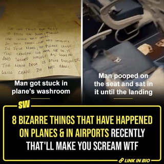 The past year or so has been filled with some very strange instances occurring on flights and airports. We get it, airports can be stressful, and so can the whole process of catching flights. But they’re also public spaces and that means we’ve all gotta remain calm, collected, and polite. Unfortunately, and due to poor circumstances, some recent events at airports and flights have caught people’s attention for just how whack they are! 

From a passenger pooping his pants, AND sitting in it for hours to an airplane's door blowing off, we have legit seen it all. Click the Link in Bio to take a look at what we’re talking about.

#SWEditDesk #indigo #airplanes 

✍: @quaintharshita