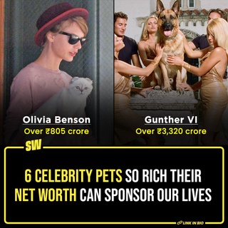 While our broke asses are 'hustling' to be underpaid every month, there are pets in the world who have a net worth. And not just it, in some cases, their wealth can even sponsor our lives. Like, for real. Not that we recommend this sort of dependency, but you can lead a lavish life off their wealth.

Some are owned by billionaire celebrities, others are celebrities themselves. These pets lead a life of dreams. They have trust funds and have a substantial sum from their owner's wills to their name. 

Click the Link in Bio to check out 6 of the richest celebrity pets in the world. Then check your bank balance to cry a bit, maybe.

#SWEditDesk #RichPets #TaylorSwift #taylorswiftcat 

✍: @sabharwalvas