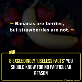 Sometimes, you gotta be aware of things that have no direct relationship to your life only because they’re fun to know. Like tomato is a fruit. Or that Jupiter is large enough to accommodate 1,300 Earths. Just like ‘fun facts’ we used to read at the back of every classmate copy in school, we decided we’d get random information overdose today. And well, we happen to stumble upon Redditors doing exactly just that. Click the Link in the Bio to read more. 

#SWEditDesk @sabharwalvas