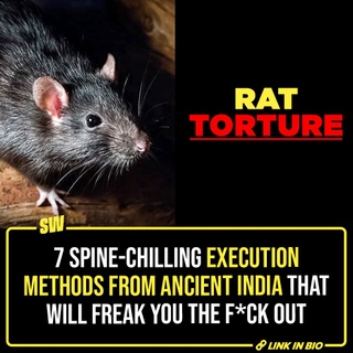 Warning: The article below can be distressing to some readers. Discretion advised.

I have always been fascinated by history as a subject because it leaves me stunned and intrigued at the same time. It’s not a mere collection of dates and events, it’s an assortment of challenges, evolution and human experiences. 

While during ancient times, individuals had distinct strategies for different kinds of work, one thing that was absolutely brutal and vicious was the types of execution methods. Back in the day, these techniques were employed as harsh punishments for serious crimes, which acted as a means to maintain order and discourage wrongdoing.

Click the link in the bio to read about execution methods that will send chills down your spine.

#SWEditDesk

@aaliyahjainx