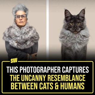 If there’s one person who loves to find and capture the uncanny resemblance between the appearances of animals and humans, it’d be photographer Gerrard Gethings (@gezgethings ) 
After searching through the beauty that his Instagram profile is, we found a couple of pictures Gerrard captured that beautifully depict the similarities between cats and humans. Tap the link in our bio take a look!