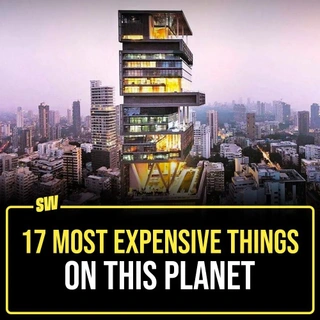 The thing about being rich is you can afford to be eccentric, and no one will laugh at you. And also, the things about having lots of money to spend is that you can buy the most ridiculous thing at even more ridiculous prices – and show it off.

Tap the link in our bio to know 17 such things that you might never be able to afford in this lifetime, and if you can afford them, you might not see the value in the price tag.