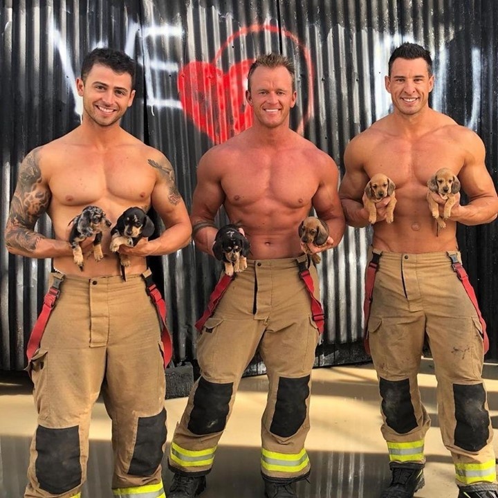Australian firefighters have outdone themselves this year with a set of 2021 calendars featuring their pets! Tap link in bio to continue on @EDGEmedianetwork ??❤️?⁠
⁠
?: australianfirefighterscalendar / Instagram⁠
⁠
