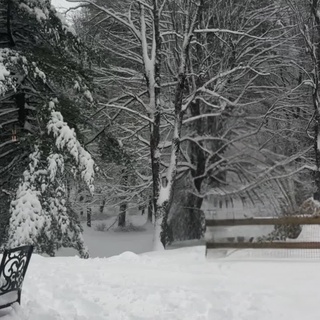 ?️❄️ Get ready for a winter adventure with Shawn Mendes like you've never seen before! ☃️ Let's dive into the snowy world of the uber-pop prince from Canada himself! ??⁠
⁠
❄️ @shawnmendes, the sensational 25-year-old singer-songwriter, recently gave us a glimpse of his Canadian heart in a viral video that's been taking the internet by storm. Picture this: Mendes, plunging into the snow, wearing nothing but a pair of short shorts! ? Yep, you read that right, and he's loving every chilly moment of it!⁠
⁠
? But it doesn't stop there! In another clip, you'll see him sledding down a hill with the enthusiasm of a kid on a snow day, and spoiler alert: he wipes out in the most endearing way possible! ⛷️ And then, like a true winter angel, he graces the snow with his presence by making snow angels, all while keeping that infectious smile on his face! ?⁠
⁠
❤️ But it's not just about the snow and fun. Our pop star shared a heartfelt message on @instagram that will resonate with your soul. He opens up about embracing the lows of life and finding something valuable even in those moments when you feel like you're in the cold. Shawn's wisdom is something we can all learn from! ?⁠
⁠
Now, here's the exciting part! ? We've got the full story waiting for you, and it's an adventure you won't want to miss. Are you ready to dive deeper into Mendes's snowy escapade? Follow us for more captivating stories and click our Link In Bio to explore the full article at @edgemedianetwork! ❄️?⁠
⁠
? Don't forget to hit that follow and share button to stay updated with the latest news and engaging stories. Shawn Mendes's winter tale is just the beginning! ❄️?